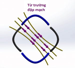 3. Ứng Dụng Thực Tế